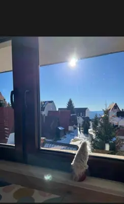 a stuffed animal sitting on a window sill looking out at Apartments SKY Kopaonik in Kopaonik