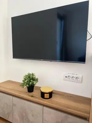 a flat screen tv on a wall with a plant at Apartments SKY Kopaonik in Kopaonik