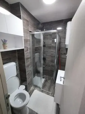 a bathroom with a shower and a toilet at Apartman Rajčić in Vrnjačka Banja