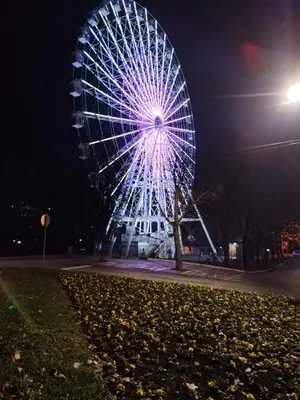 a ferris wheel in a park at night at Apartman Rajčić in Vrnjačka Banja