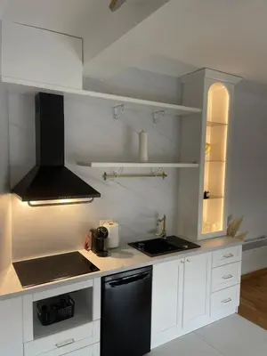 a kitchen with white cabinets and a black refrigerator at Apartment in Vila dr Milovan in Vrnjačka Banja