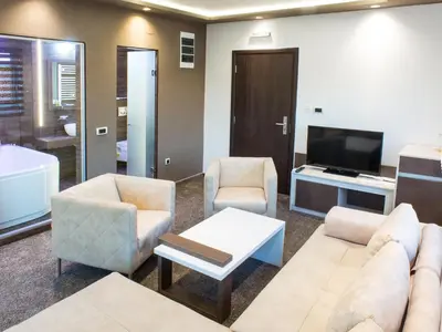 a living room with a couch and chairs and a tv at Hotel & Restaurant Ponte Bianco in Vranje
