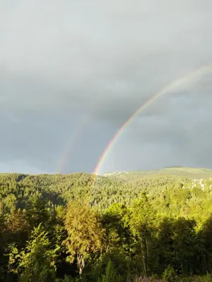 a rainbow in the sky over a forest at President Kop Apartman 106 in Kopaonik