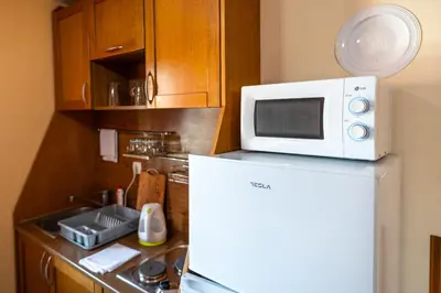 a microwave on top of a refrigerator in a kitchen at Vila Milica Apartmani in Kopaonik
