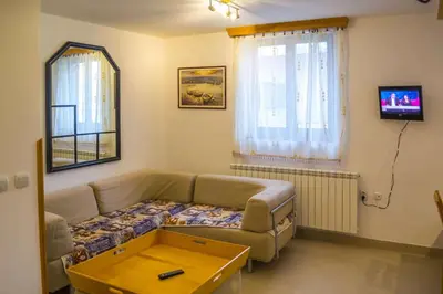a living room with a couch and a table at Vila Milica Apartmani in Kopaonik