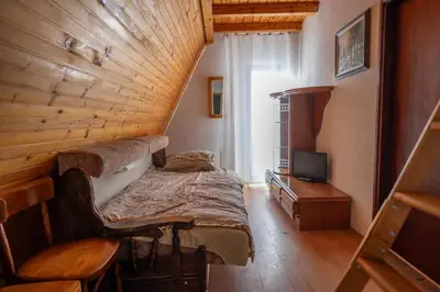 a small bedroom with a bed and a tv at Vila Milica Apartmani in Kopaonik