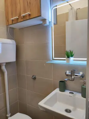 a bathroom with a sink and a toilet and a mirror at Apartman GreenPine in Soko Banja