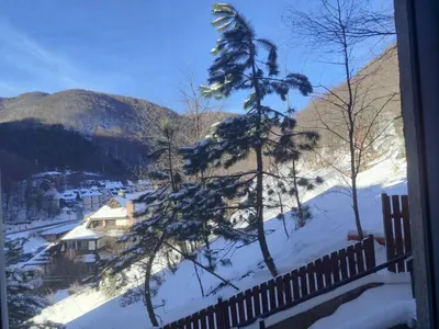 a view from a window of a snow covered mountain at WEGA Star Apartmani in Brzeće