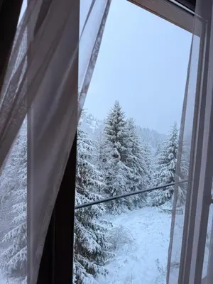 a window with a view of snow covered trees at Glecer A07 in Kopaonik