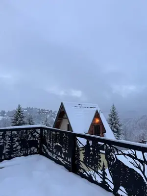 a house covered in snow with a fence at Glecer A07 in Kopaonik