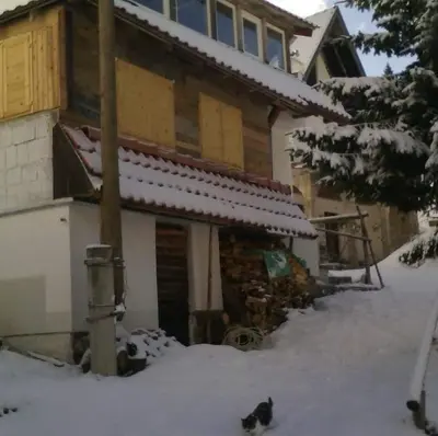 a couple of cats sitting in the snow in front of a house at KopanikSkiRooms15E in Kopaonik