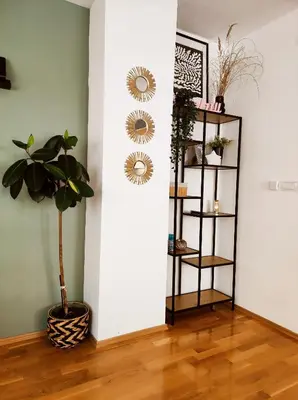 a room with a shelf and a plant and a wall at Riverside LUX Apartment in Pirot
