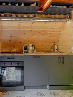 a kitchen with wooden walls and a counter top at Viktorija chalet in Kopaonik