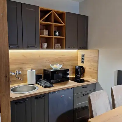 a kitchen with a sink and a microwave at Regulus apartment Brzeće Kopaonik in Brzeće