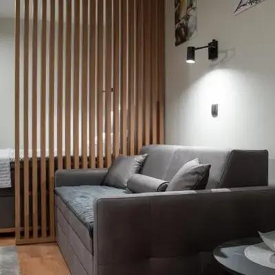 Regulus apartment Brzeće Kopaonik