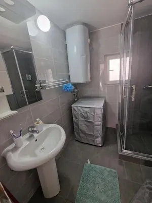 a bathroom with a sink and a shower at Zed Apartments in Leskovac