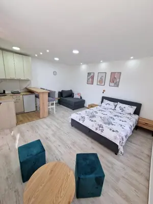 a large bedroom with a bed and a kitchen at Zed Apartments in Leskovac
