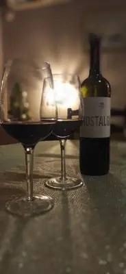 two glasses of wine next to a bottle of wine at Apartman Nissa in Niš