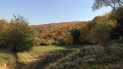 a field in the middle of a hill with trees at Apartman Nissa in Niš