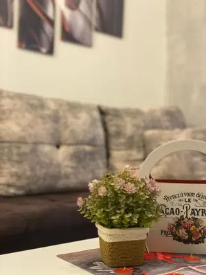 a table with a potted plant and a couch at Castello apartman Kopaonik Kraljevi Cardaci komplex in Kopaonik