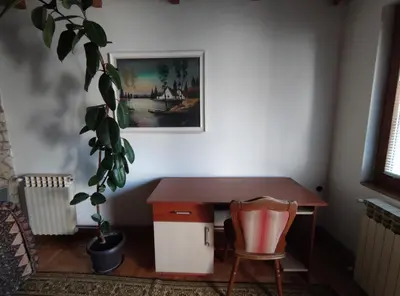 a desk and a chair in a room with a plant at Nikolic Apartment in Leskovac
