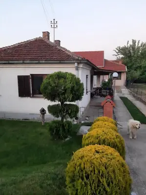 a house with a row of bushes in front of it at Nikolic Apartment in Leskovac