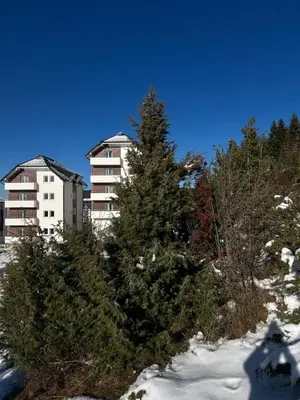 a tree in the snow in front of a building at Ramondia, Kopaonik in Kopaonik