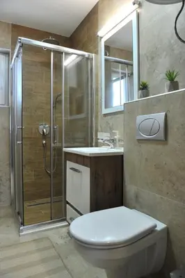 a bathroom with a shower and a toilet and a sink at Ramondia, Kopaonik in Kopaonik