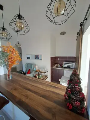 a living room with a table with a christmas tree on it at Sofi II in Niš