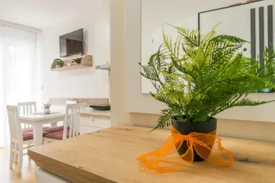 a dining room table with a potted plant on it at Lucky Lux 1 i 2 Vrnjačka Banja in Vrnjačka Banja