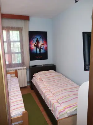 a bedroom with a bed and a tv on the wall at Vila Verica in Vrnjačka Banja