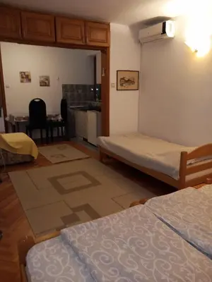 a room with two beds and a kitchen with a table at Vila Verica in Vrnjačka Banja