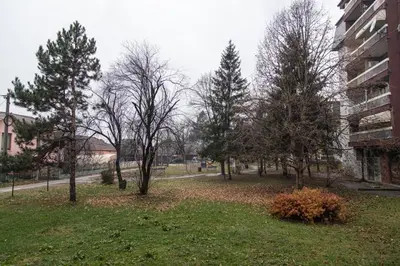 a group of trees in a park next to a building at Apartman TWO in Magnohrom
