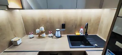 a kitchen with a counter with a sink and figurines at Marinkovic 2 stan na dan in Vranje