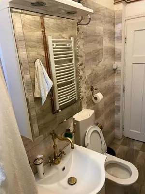 a bathroom with a white sink and a toilet at Apartment Milinkovic in Niška Banja