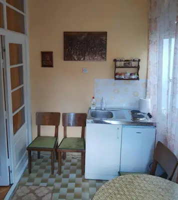 a kitchen with a sink and two chairs and a table at Apartment Milinkovic in Niška Banja