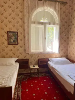 two beds in a room with a window and a red carpet at Apartment Milinkovic in Niška Banja