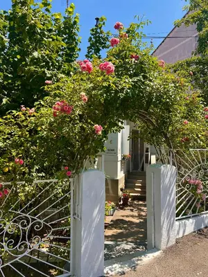 a white gate with pink roses on it at Apartment Milinković 2 in Kovanluk