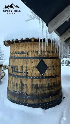 Gallery image of Spiky hill resort in Kopaonik