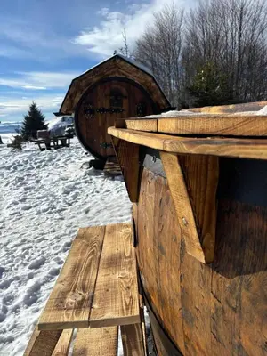Gallery image of Spiky hill resort in Kopaonik