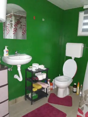 a green bathroom with a toilet and a sink at Krčma u Planini in Bojnik