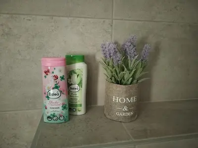two bottles of hair products and a vase of flowers at S&B Apartman Vrnjačka Banja in Vrnjačka Banja