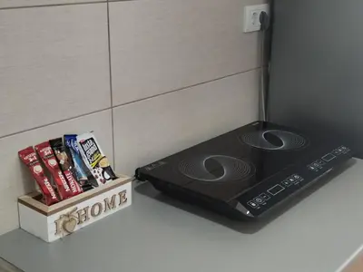 a kitchen counter with a stove and a box of dvds at S&B Apartman Vrnjačka Banja in Vrnjačka Banja