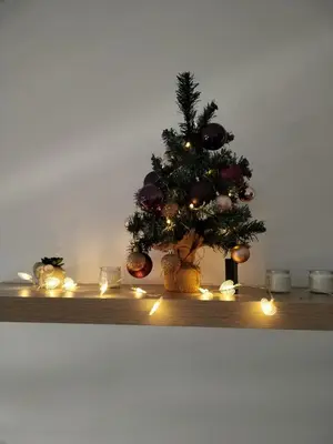a christmas tree sitting on a shelf with lights at S&B Apartman Vrnjačka Banja in Vrnjačka Banja