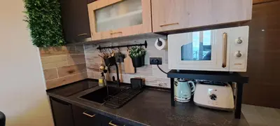 a kitchen with a counter with a sink and a microwave at TopView Milmari N87 in Kopaonik