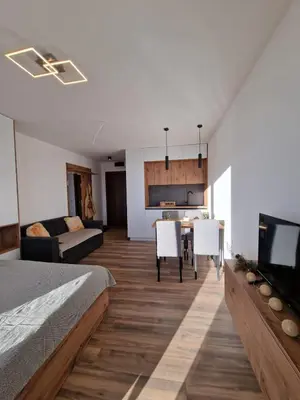 a living room with a bed and a dining room at Kopaonik apartment A05 in Kopaonik