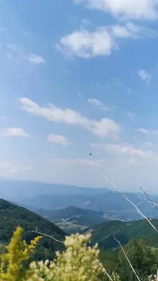 a view of a mountain with a bird flying in the sky at Kopaonik apartment A05 in Kopaonik