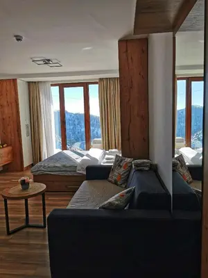 a living room with a couch and a bed at Kopaonik apartment A05 in Kopaonik