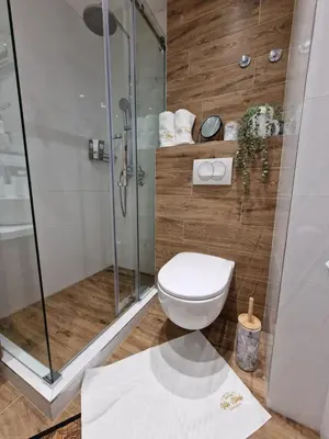 a bathroom with a toilet and a glass shower at Frosty Peaks Apartment in Kopaonik