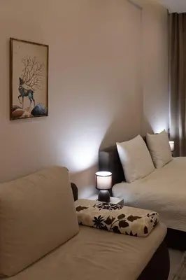 a living room with a couch and a bed at Ibis Lux Milmari Apartman N51 Kopaonik Panorama Spa in Kopaonik